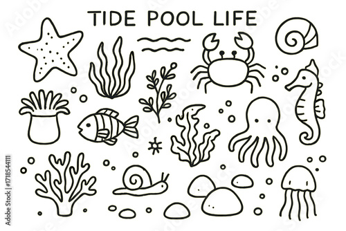 Tide Pool Creatures. Hand-drawn doodle illustration [Tide pool life] [starfish, crab, shell, fish, seaweed, anemone, algae, octopus, snail, water waves, coral,