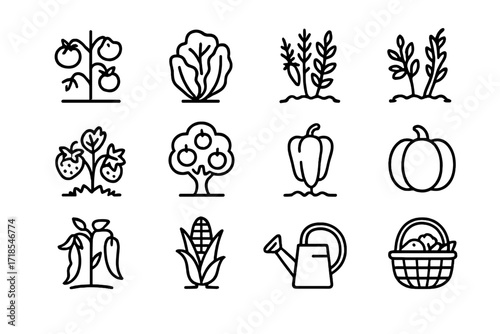 Edible Garden Icons. Edible gardens. Line icon set of edible gardens: tomato plant, lettuce, carrot, herbs, strawberries, fruit tree, pepper plant, pumpkin,