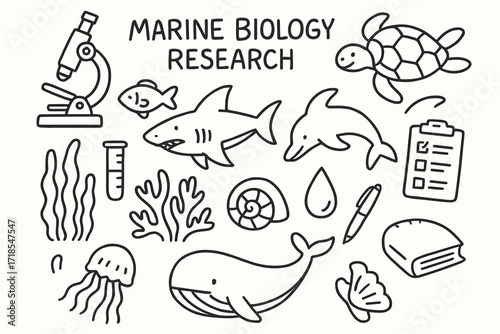 Marine Biology Doodles. Hand-drawn doodle illustration Marine biology research [microscope, fish, turtle, shark, dolphin, clipboard, pen, test tube, seaweed,