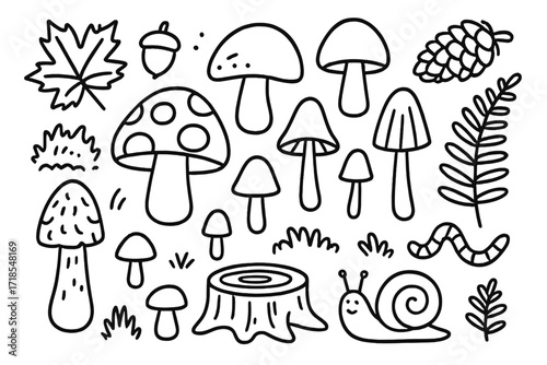 Forest Doodle Icons. Hand-drawn doodle illustration Forest fungi, mushroom, toadstool, spore, cap, stem, gills, forest leaf, acorn, pine cone, snail, moss,