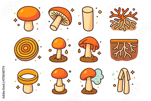 Fungi Anatomy Icons. Colorful isometric vector icons set of fungi anatomy and growth stages: mushroom cap, gills, stalk, mycelium network, spore print, young