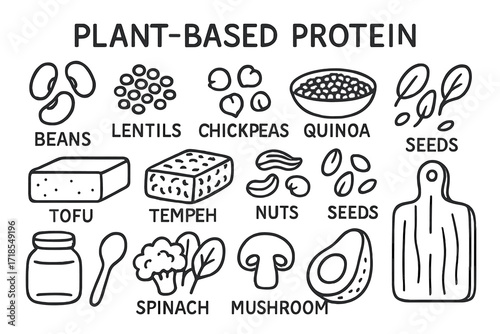 Plant-Based Protein Icons. Hand-drawn doodle illustration plant-based protein beans, lentils, chickpeas, quinoa bowl, tofu, tempeh block, nuts, seeds, jar,