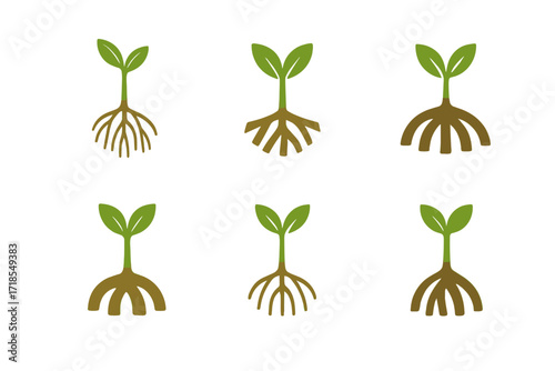 Mangrove Logo Variations. mangrove restoration. Set Logo of mangrove restoration: mangrove seedling. harmonious logo variations of the same emblematic concept,