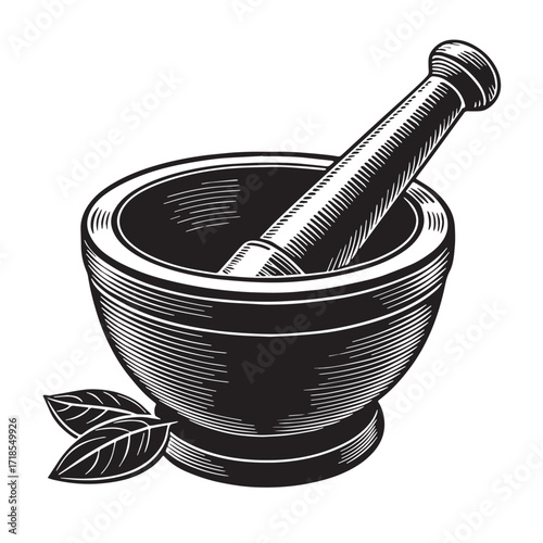 Black mortar and pestle Silhouette Vector, High Quality Illustration on White Background