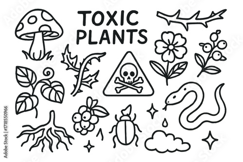Toxic Forest Doodles. Hand-drawn doodle illustration Forest toxic plants [mushroom, thorn, vine, flower, berry, leaf, skull, root, bug, warning triangle,