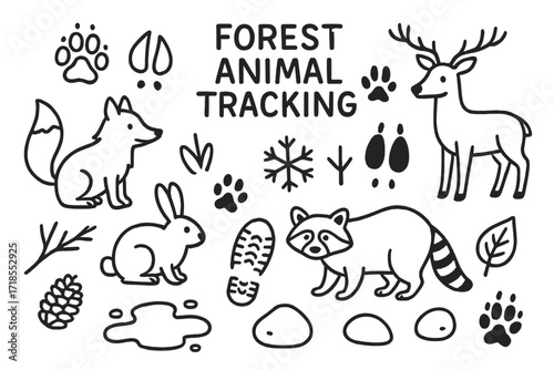 Forest Animal Tracks. Hand-drawn doodle illustration Forest animal tracking, paw prints, hoof prints, bird tracks, snowflake, mud puddle, boot print, fox,
