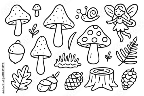 Mystical Fungi Doodles. Hand-drawn doodle illustration Mystical fungi, mushroom, toadstool, spore, cap, stem, gills, forest leaf, acorn, pine cone, snail,
