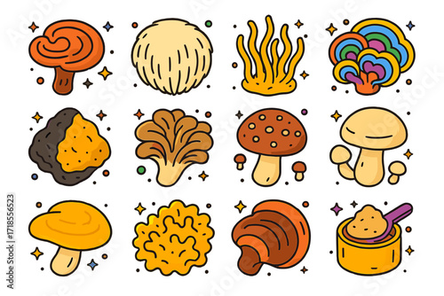 Medicinal Mushroom Icons. Colorful isometric vector icons set of medicinal and functional mushrooms: reishi, lion?s mane, cordyceps, turkey tail, chaga,