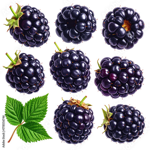 Nine vibrant blackberries, displayed in a grid, with a single blackberry leaf in the bottom-left corner.  Each berry showcases a deep, rich purple-black hue, with a textured surface and visible seeds