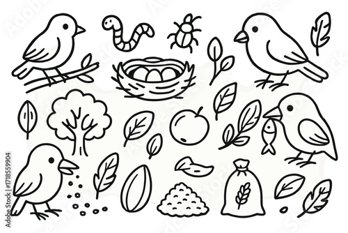Bird Feeding Habits. Hand-drawn doodle illustration Birds feeding habits bird, worm, insect, nest, egg, seed, fruit, tree, beak, fish, feather, branch, crumbs,