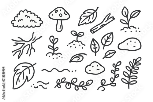 Rainforest Floor Doodles. Hand-drawn doodle illustration Rainforest Floor moss, mushroom, fallen leaf, broken branch, root, sprouting plant, leaf litter, vine