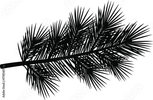 Black pine branch silhouette illustration with needles, natural design, vector art, evergreen tree element, Christmas decoration, ecology, forest nature.