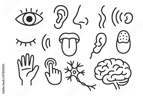 Human Senses Doodle. Hand-drawn doodle illustration human senses eye, ear, nose, tongue, hand, fingerprint, sound wave, smell icon, taste bud, touch icon, open