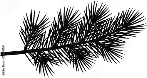 Black pine branch silhouette with sharp needles, evergreen tree element, Christmas decoration, winter forest nature, vector art, ecology illustration.