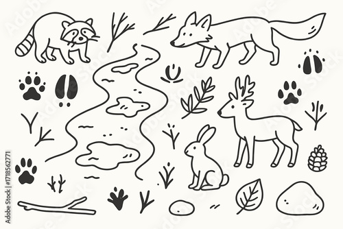 Forest Tracks Doodle. Hand-drawn doodle illustration Muddy forest trails, paw prints, hoof prints, bird tracks, mud puddle, footprint, raccoon, fox, deer,