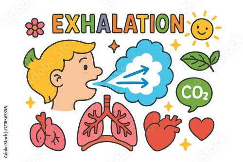 Breathing Process Doodle. Colorful Hand-drawn doodle Children illustration Exhalation Process mouth, nose, air arrows, lungs, diaphragm, ribcage, carbon
