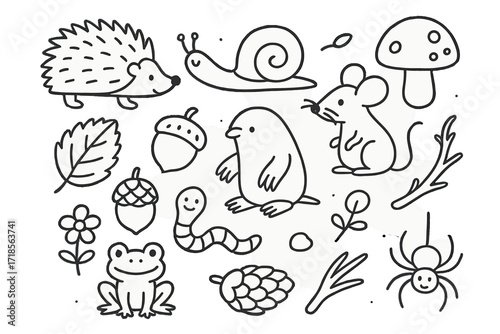 Forest Floor Doodles. Hand-drawn doodle illustration Forest floor creatures hedgehog, snail, mouse, mole, worm, frog, beetle, mushroom, acorn, leaf, pinecone,