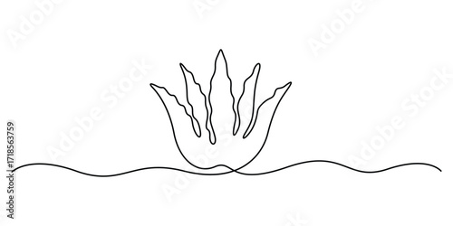 Aloe vera plant sketch single line illustration, background, label design. Continuous one line drawing art illustration with lettering organic aloe vera. Vector illustration