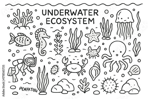 Underwater Ecosystem Doodles. Hand-drawn doodle illustration [Underwater ecosystems] [coral, fish, seaweed, seahorse, crab, starfish, jellyfish, octopus,