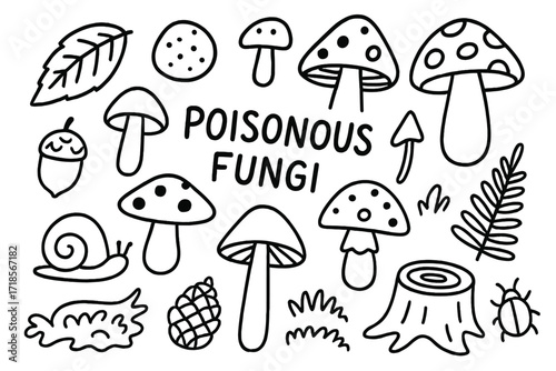 Fungi Forest Doodles. Hand-drawn doodle illustration Poisonous fungi, mushroom, toadstool, spore, cap, stem, gills, forest leaf, acorn, pine cone, snail, moss,