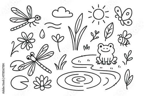 Dragonflies and Nature Elements. Hand-drawn doodle illustration Dragonflies in Nature dragonfly, lily pad, flower petal, grass blade, water drop, sun, cloud,
