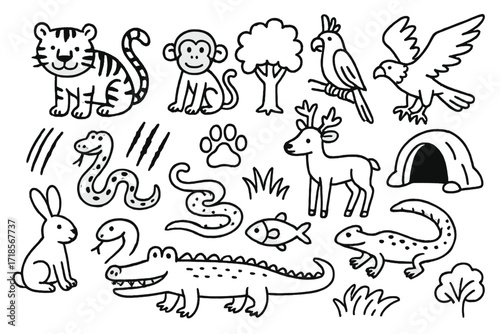 Jungle Creatures Doodle. Hand-drawn doodle illustration jungle predators and prey tiger, monkey, deer, snake, parrot, paw print, claw mark, tree, grass,