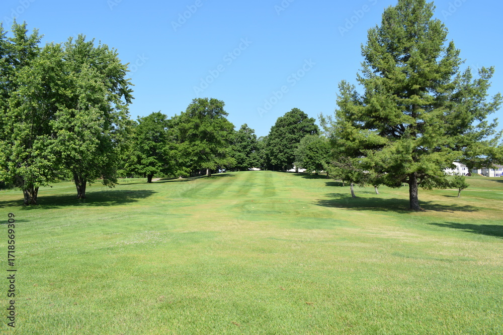 Obraz premium Looking down a tree lined golf course fairway towards the putting green.