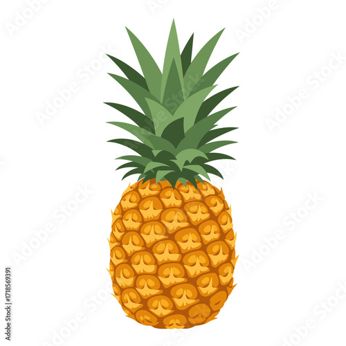A vibrant illustration of a ripe pineapple, showcasing its textured skin and spiky crown.