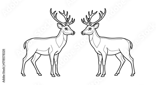 Two symmetrical line drawings of deer facing each other, showcasing detailed antler and body features.