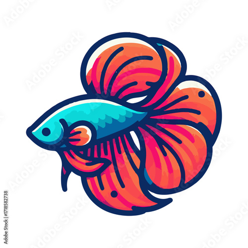 
betta fish illustration design