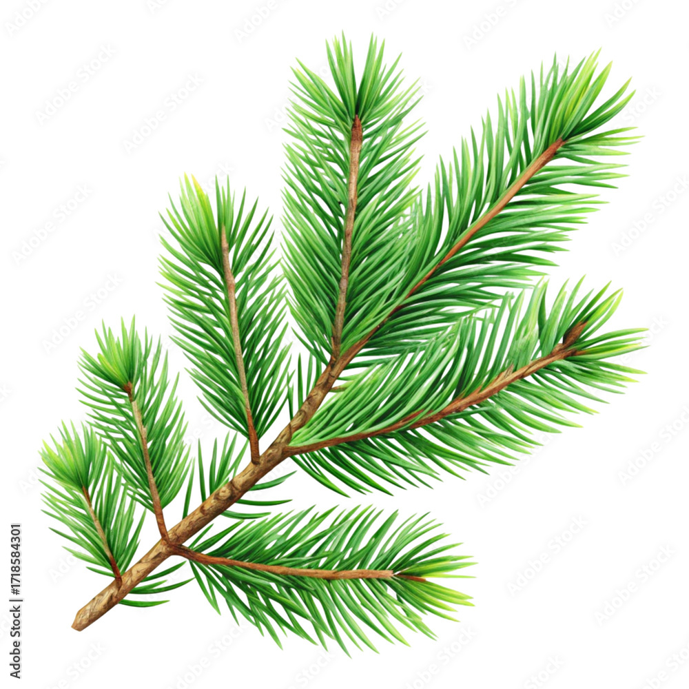 Fototapeta premium 2