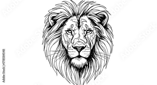 Lion head illustration with intricate details