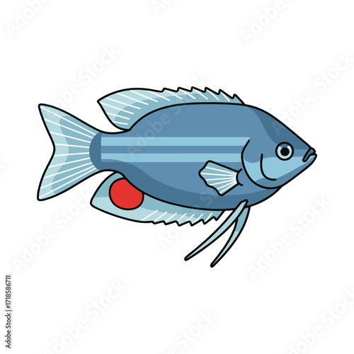 gourami fish illustration design
