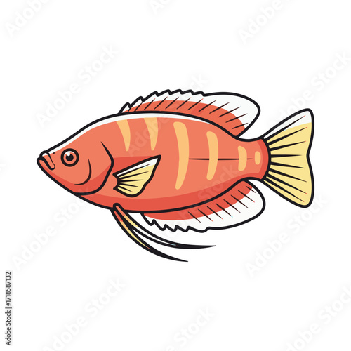 gourami fish illustration design