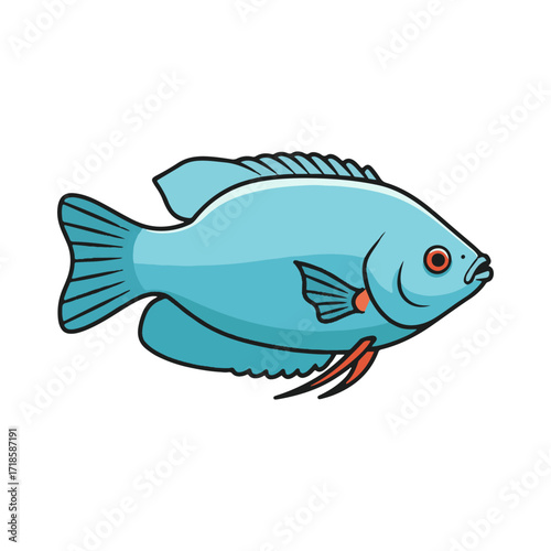gourami fish illustration design