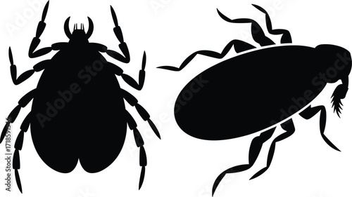Insect and arachnid silhouettes, pest control icons, tick and cockroach graphic, black and white design, entomology vector, anatomy comparison illustration