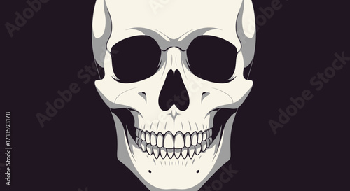 Realistic Skull Illustration Anatomical Detail in Digital Art with Dark Background