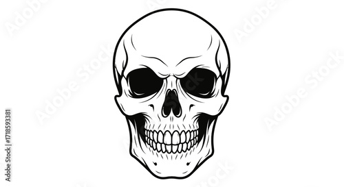 A classic black and white illustration of a human skull, rendered in a detailed and stylized manner, perfect for graphic design and artistic projects