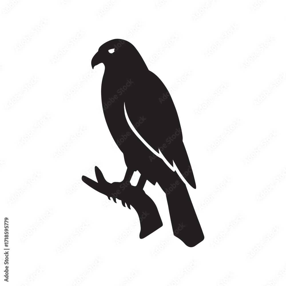 Fototapeta premium Majestic hawk silhouette perched on a branch representing strength nature and wildlife conservation ideal for logos designs and educational materials focused on avian species