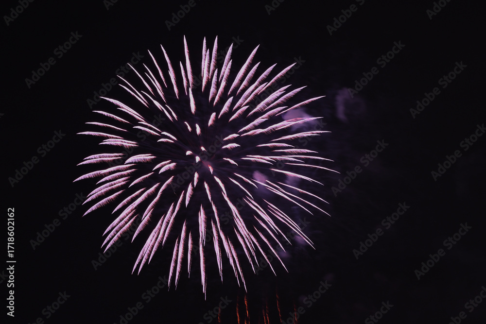 Fototapeta premium 東海まつり花火大会 花火 Tokai Festival firework