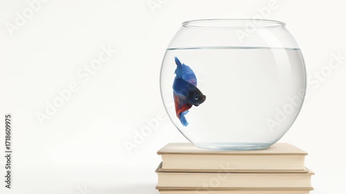 Betta fish swimming in bowl on stack of books with white background