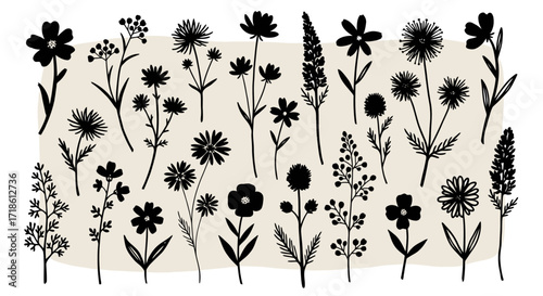 Elegant floral silhouettes for crafting bespoke invitations and striking botanical designs, perfect for timeless decor and creative projects