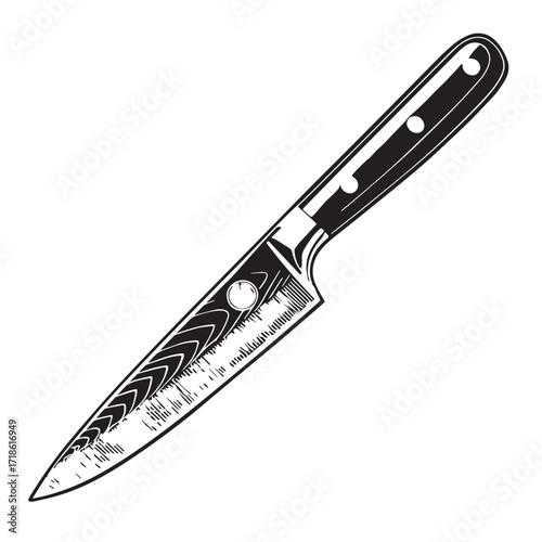 Black paring knife Silhouette Vector, High Quality Illustration on White Background