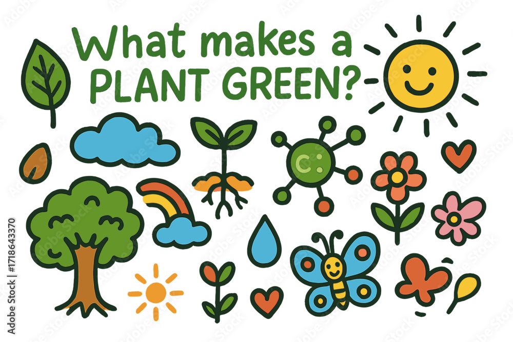 Naklejka premium Plant Growth Doodles. Colorful Hand-drawn doodle Children illustration What Makes a Plant Green [leaf, sprout, chlorophyll