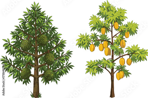 Durian tree with spiky fruits, cocoa tree with ripe pods, tropical agriculture, exotic fruits, sustainable farming, lush green foliage, nature