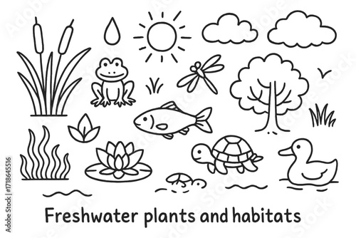 Freshwater Habitat Doodles. Hand-drawn doodle illustration Freshwater plants and habitats [reeds, water lily, lotus, algae, grass