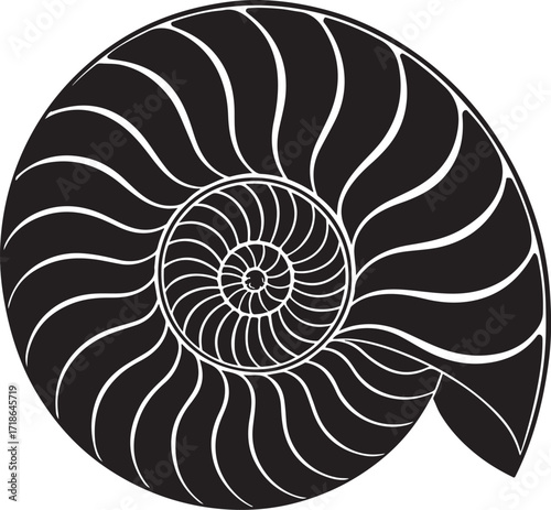 Black and White Nautilus Shell Cross- Section spiral