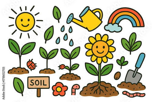 Doodle Plant Growth. Colorful Hand-drawn doodle Children illustration Soil and plant growth seed, root system, flower, sun,