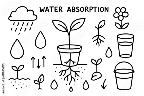 Water Absorption Doodle. Water absorption. Hand-drawn doodle illustration water absorption roots, water droplet, soil, arrows, leaf, stem, plant,
