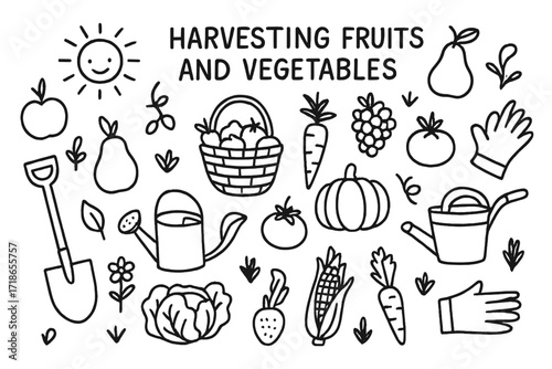 Harvest Doodle Icons. Harvesting fruits and vegetables. Hand-drawn doodle illustration harvesting fruits and vegetables with apple